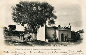 TLEMCEN 215